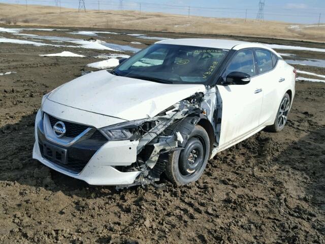 1N4AA6AP2HC448580 - 2017 NISSAN MAXIMA 3.5 WHITE photo 2