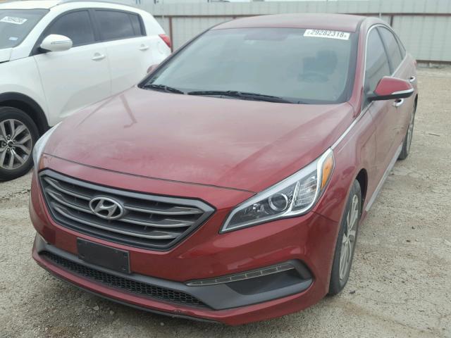 5NPE34AF1FH076460 - 2015 HYUNDAI SONATA SPO RED photo 2