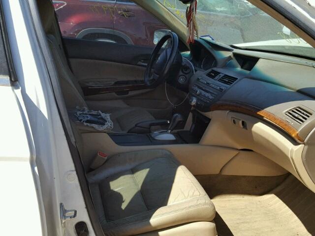 5KBCP36839B002641 - 2009 HONDA ACCORD EXL WHITE photo 5