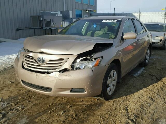 4T1BE46K88U246336 - 2008 TOYOTA CAMRY CE GOLD photo 2