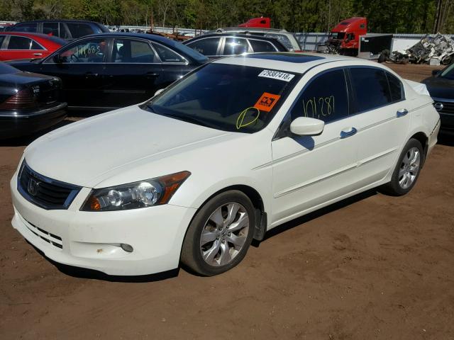 1HGCP36828A035167 - 2008 HONDA ACCORD EXL WHITE photo 2