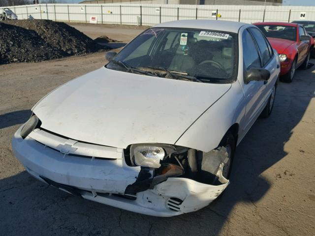 1G1JC52F837142255 - 2003 CHEVROLET CAVALIER WHITE photo 2