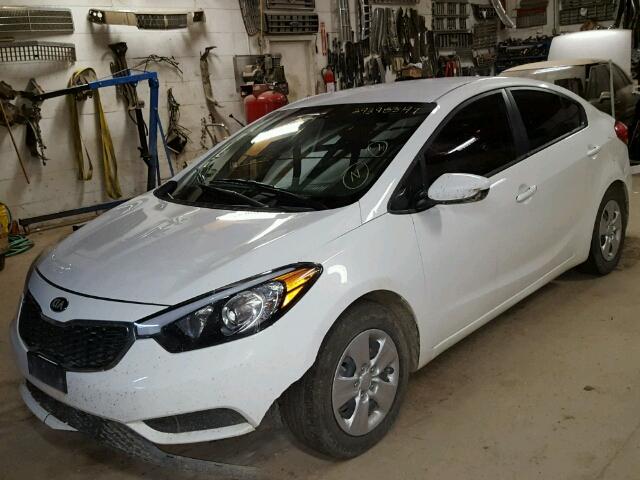 KNAFK4A63G5455644 - 2016 KIA FORTE WHITE photo 2