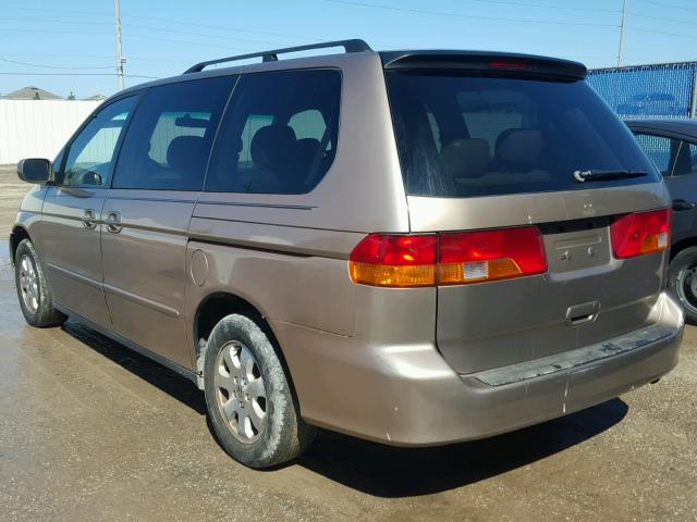 5FNRL180X3B052928 - 2003 HONDA ODYSSEY EX ოქროსფერი ფოტო 3