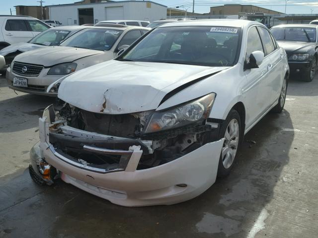 1HGCP36898A024490 - 2008 HONDA ACCORD EXL WHITE photo 2