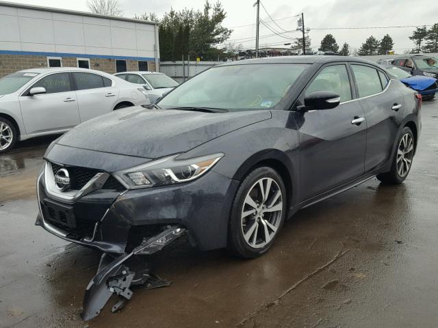 1N4AA6AP6HC365167 - 2017 NISSAN MAXIMA 3.5 BLUE photo 2