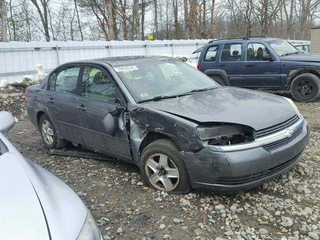 1G1ZT52834F214412 - 2004 CHEVROLET MALIBU LS GRAY photo 1