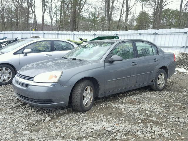 1G1ZT52834F214412 - 2004 CHEVROLET MALIBU LS GRAY photo 2