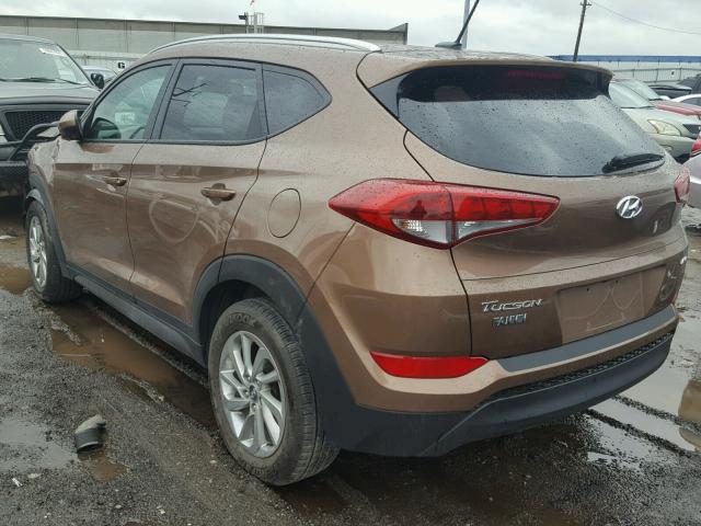 KM8J3CA42GU180319 - 2016 HYUNDAI TUCSON LIM BROWN photo 3