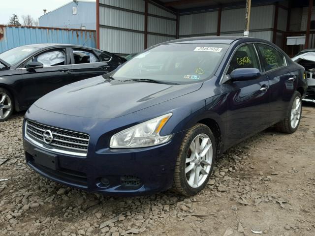 1N4AA5AP8BC827701 - 2011 NISSAN MAXIMA S BLUE photo 2