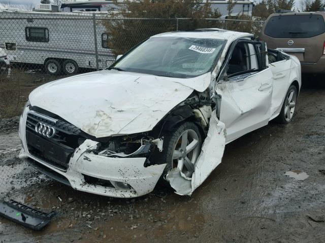 WAUFFAFL7CA120342 - 2012 AUDI A4 PREMIUM WHITE photo 2