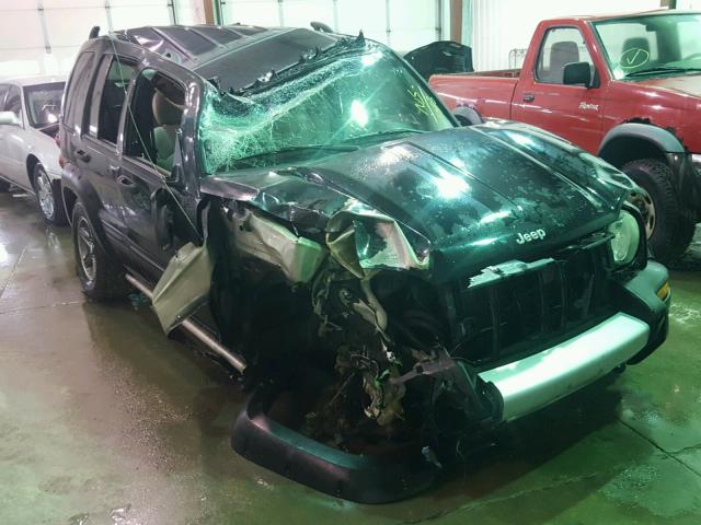 1J4GK38K34W194486 - 2004 JEEP LIBERTY RE BLACK photo 1