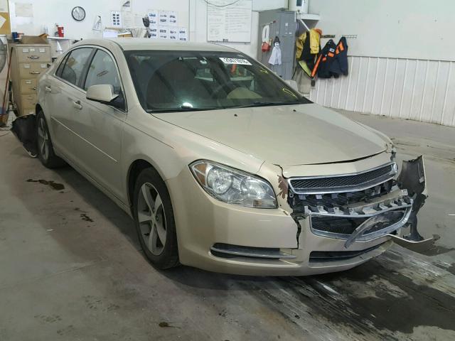 1G1ZC5E1XBF255180 - 2011 CHEVROLET MALIBU 1LT 金色 照片 1