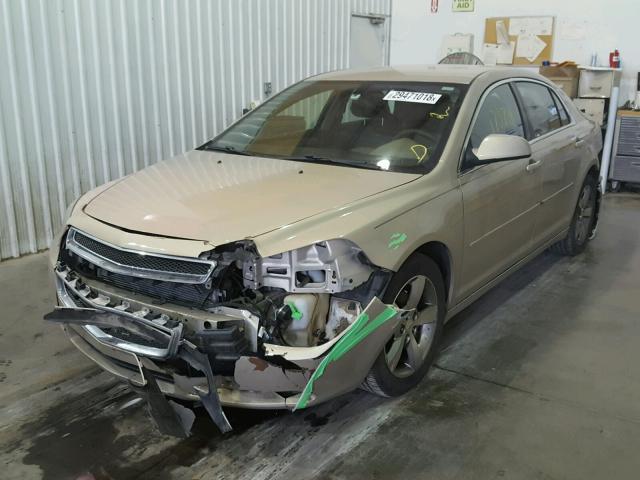 1G1ZC5E1XBF255180 - 2011 CHEVROLET MALIBU 1LT 金色 照片 2