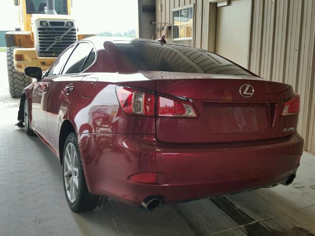 JTHBF5C23B5144051 - 2011 LEXUS IS 250 RED photo 3