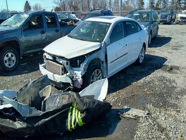 1G11C5SL1EF195507 - 2014 CHEVROLET MALIBU 1LT 白色 照片 2