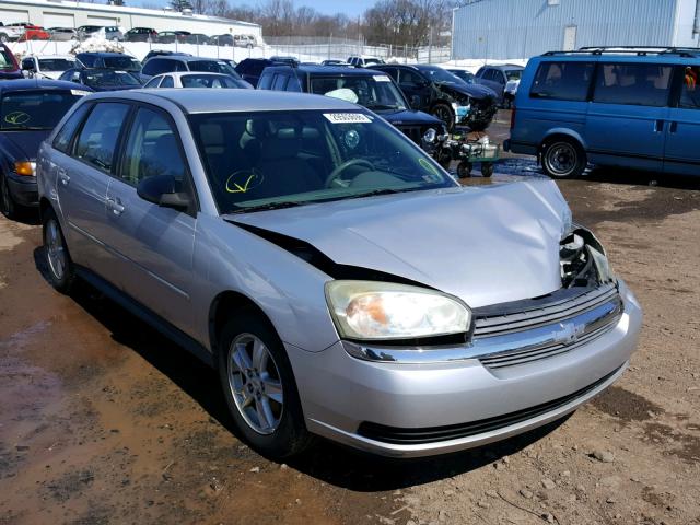1G1ZT64865F106922 - 2005 CHEVROLET MALIBU MAX ვერცხლისფერი ფოტო 1