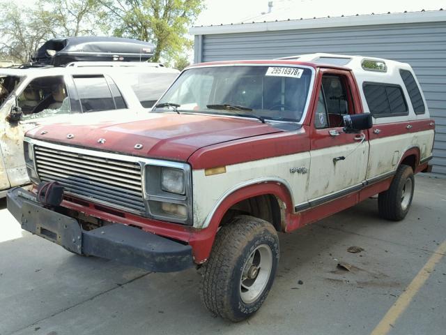 F14GKGG8503 - 1980 FORD F150 RED photo 2