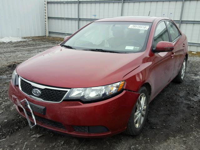 KNAFU4A21C5517303 - 2012 KIA FORTE EX RED photo 2