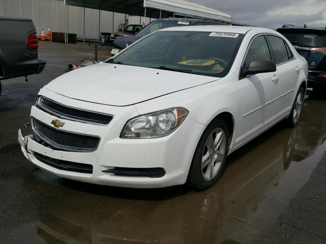 1G1ZA5E10BF353141 - 2011 CHEVROLET MALIBU LS თეთრი ფოტო 2