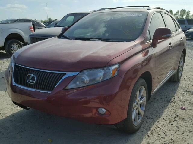 2T2ZK1BA5BC062592 - 2011 LEXUS RX 350 RED photo 2