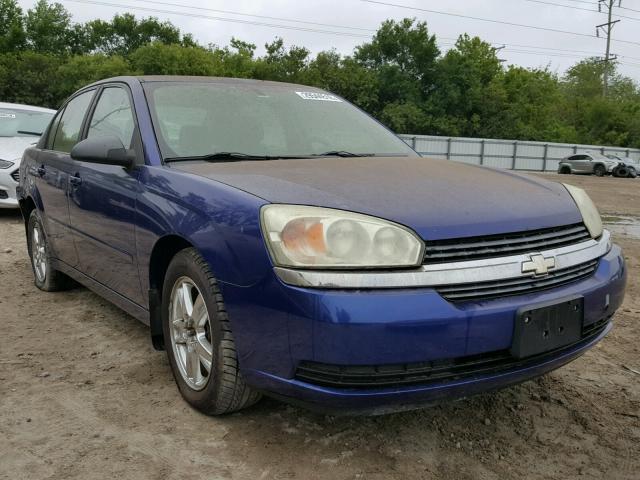 1G1ZT52895F259890 - 2005 CHEVROLET MALIBU LS BLUE photo 1