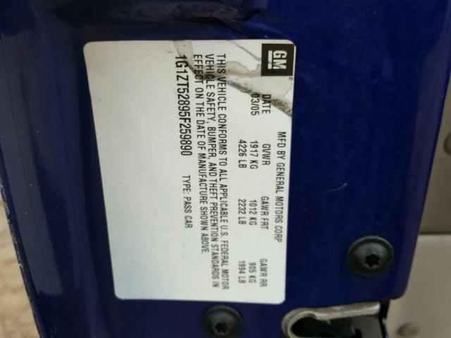 1G1ZT52895F259890 - 2005 CHEVROLET MALIBU LS ლურჯი ფოტო 10