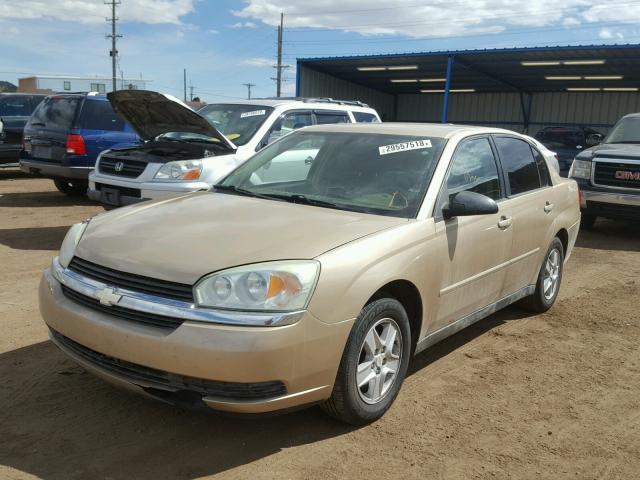 1G1ZT54834F157612 - 2004 CHEVROLET MALIBU LS ოქროსფერი ფოტო 2