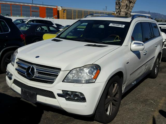 4JGBF2FE6AA603323 - 2010 MERCEDES-BENZ GL 350 BLU WHITE photo 2