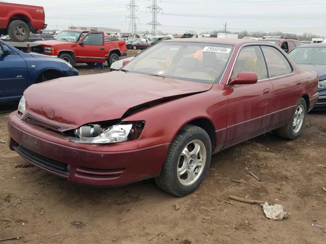 JT8GK13T5R0010622 - 1994 LEXUS ES 300 BURGUNDY photo 2