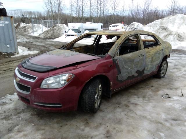 1G1ZH57B38F282608 - 2008 CHEVROLET MALIBU 1LT RED photo 2