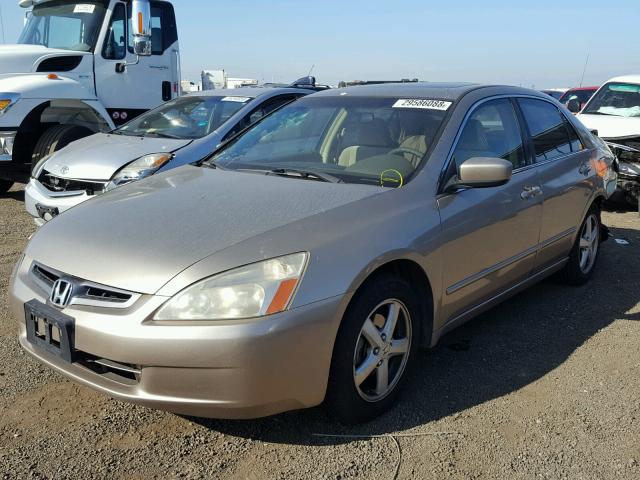 JHMCM56664C016684 - 2004 HONDA ACCORD EX GOLD photo 2