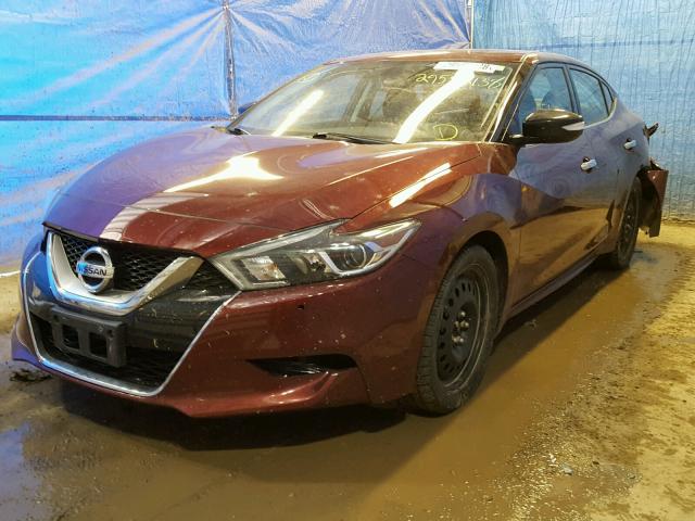 1N4AA6AP7GC412379 - 2016 NISSAN MAXIMA 3.5 BURGUNDY photo 2