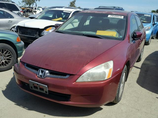 JHMCM56784C035066 - 2004 HONDA ACCORD EX BURGUNDY photo 2