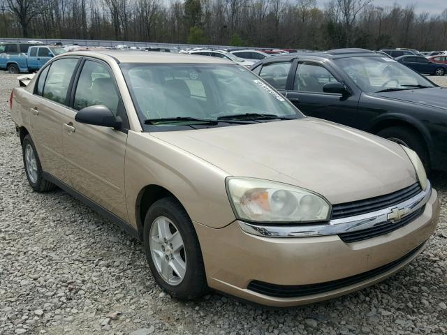 1G1ZT52835F266494 - 2005 CHEVROLET MALIBU LS თაფლისფერი ფოტო 1