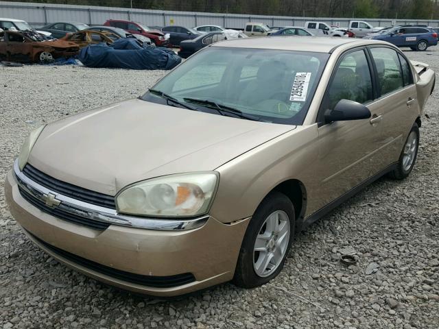 1G1ZT52835F266494 - 2005 CHEVROLET MALIBU LS თაფლისფერი ფოტო 2