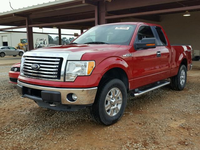 1FTFX1EF2CFB06346 - 2012 FORD F150 SUPER RED photo 2