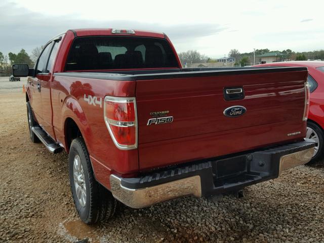 1FTFX1EF2CFB06346 - 2012 FORD F150 SUPER RED photo 3