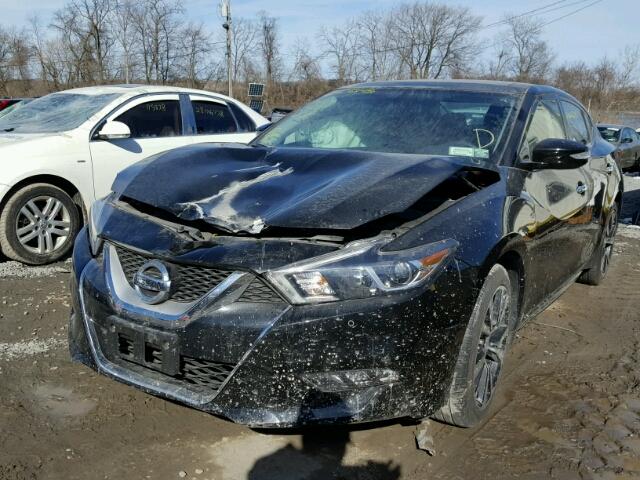 1N4AA6AP2HC383911 - 2017 NISSAN MAXIMA 3.5 BLACK photo 2