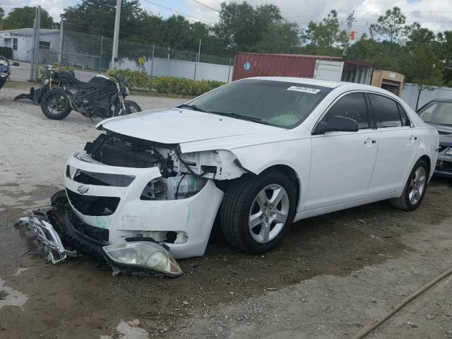 1G1ZB5EB6A4141800 - 2010 CHEVROLET MALIBU LS თეთრი ფოტო 2