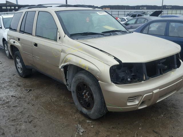 1GNDT13S662310007 - 2006 CHEVROLET TRAILBLAZE GOLD photo 9