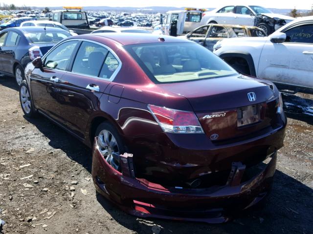 1HGCP368X8A023364 - 2008 HONDA ACCORD EXL MAROON photo 3