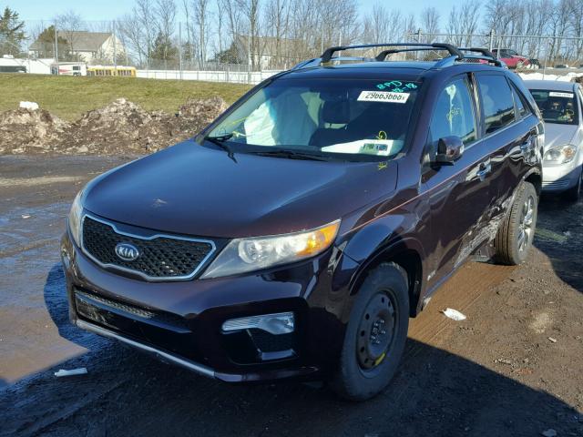 5XYKWDA23BG092927 - 2011 KIA SORENTO SX MAROON photo 2