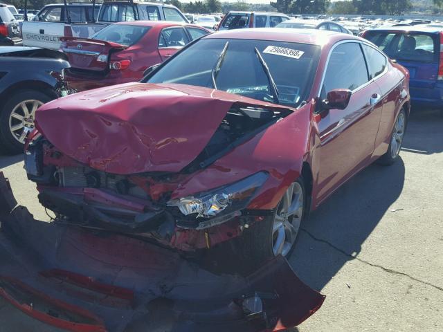 1HGCS2A83CA003868 - 2012 HONDA ACCORD EXL RED photo 2