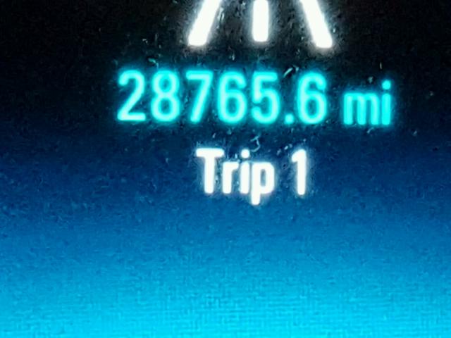 1G11C5SA8GU161545 - 2016 CHEVROLET MALIBU LIM 银色 照片 8