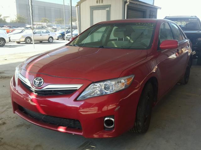 4T1BB46K69U102522 - 2009 TOYOTA CAMRY HYBR RED photo 2