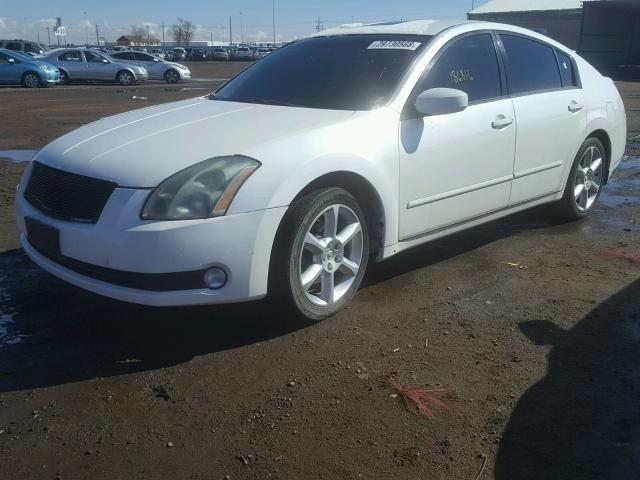 1N4BA41E84C832896 - 2004 NISSAN MAXIMA SE WHITE photo 2