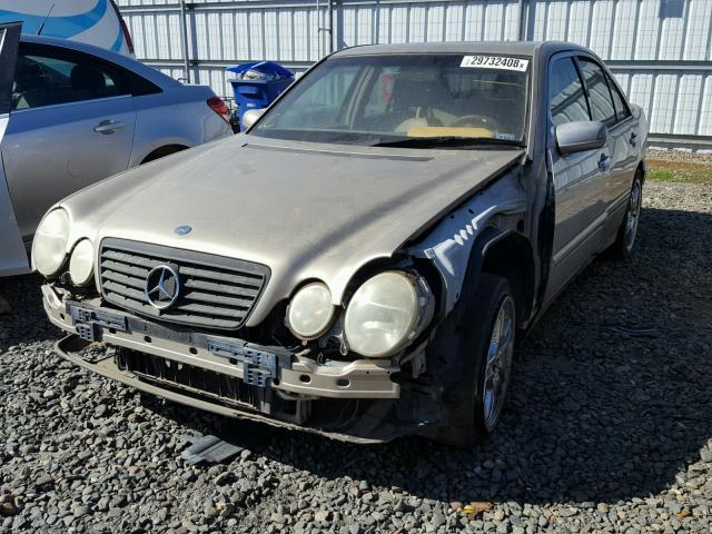 WDBJF70J71B288740 - 2001 MERCEDES-BENZ E 430 GOLD photo 2