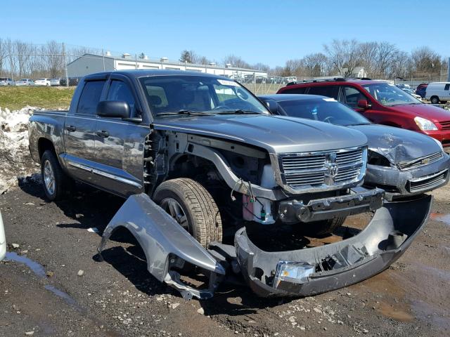 1D7RE5GK9BS701310 - 2011 DODGE DAKOTA LAR GRAY photo 1