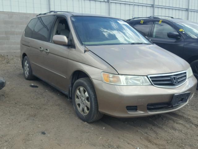 5FNRL18093B006474 - 2003 HONDA ODYSSEY EX GOLD photo 1